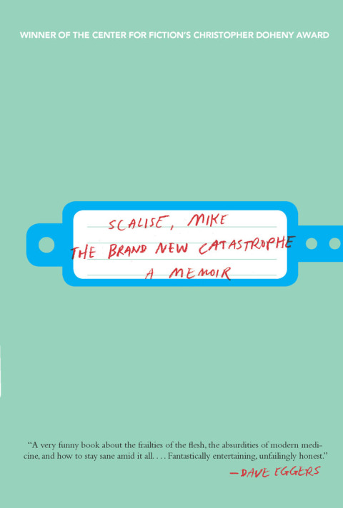 Cover image for book The Brand New Catastrophe