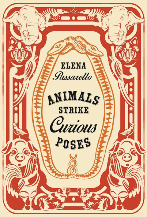 Cover image for book Animals Strike Curious Poses