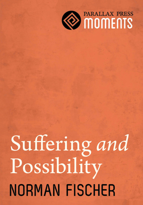 Cover image for book Suffering and Possibility