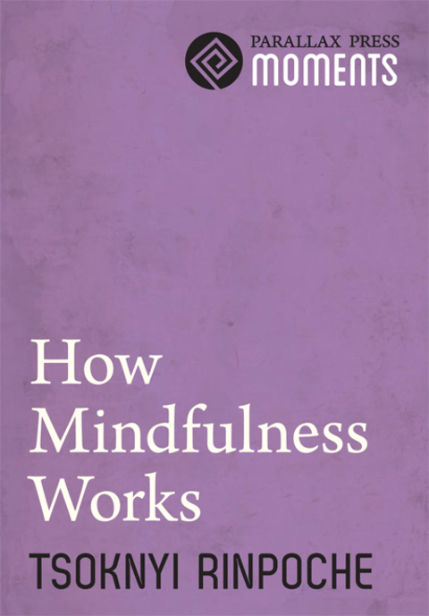Cover image for book How Mindfulness Works