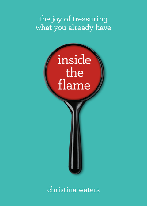 Cover image for book Inside the Flame