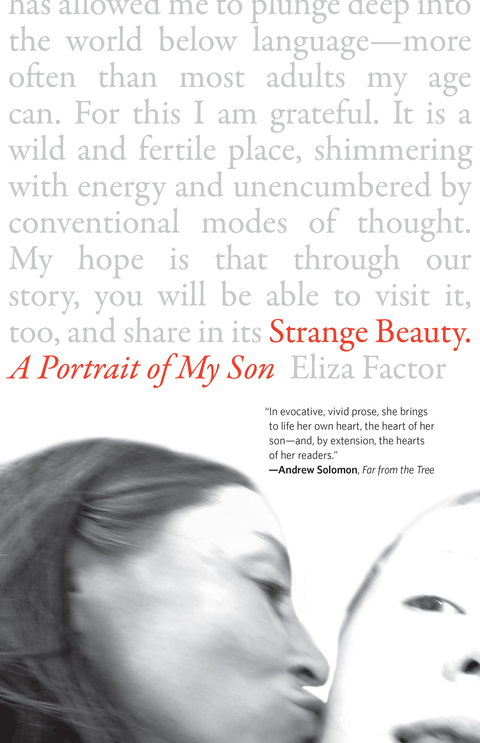 Cover image for book Strange Beauty