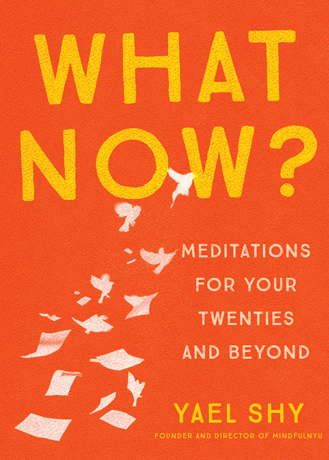 Cover image for book What Now?