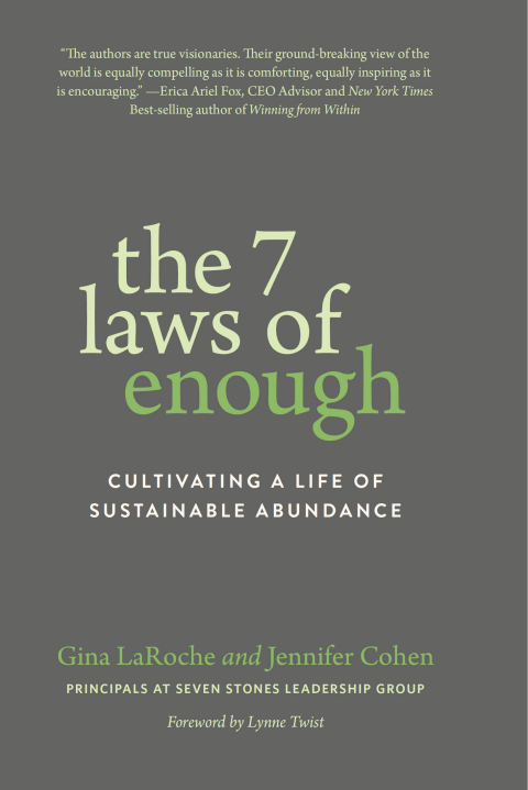 Cover image for book The 7 Laws of Enough