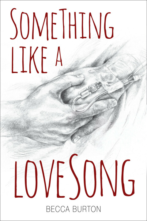 Cover image for book Something Like a Love Song