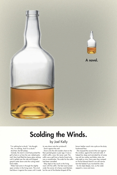 Cover image for book Scolding the Winds