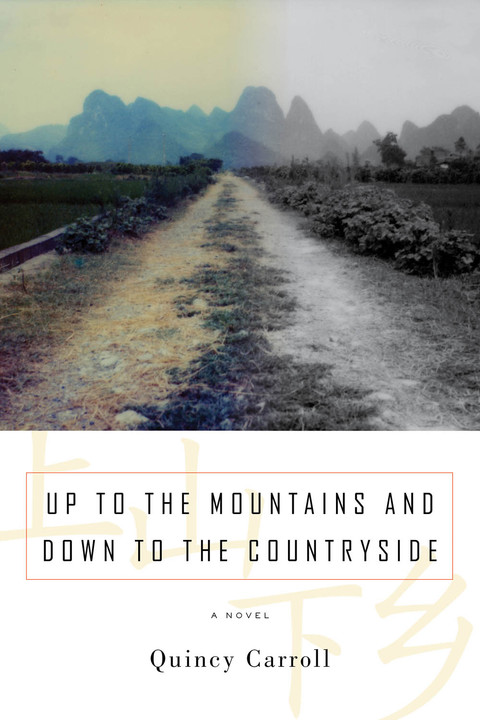 Cover image for book Up to the Mountains and Down to the Countryside