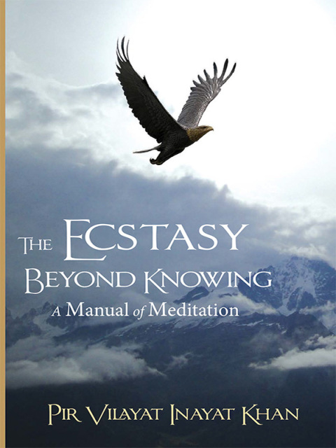 The Ecstasy Beyond Knowing 