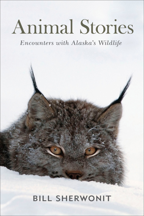 Cover image for book Animal Stories