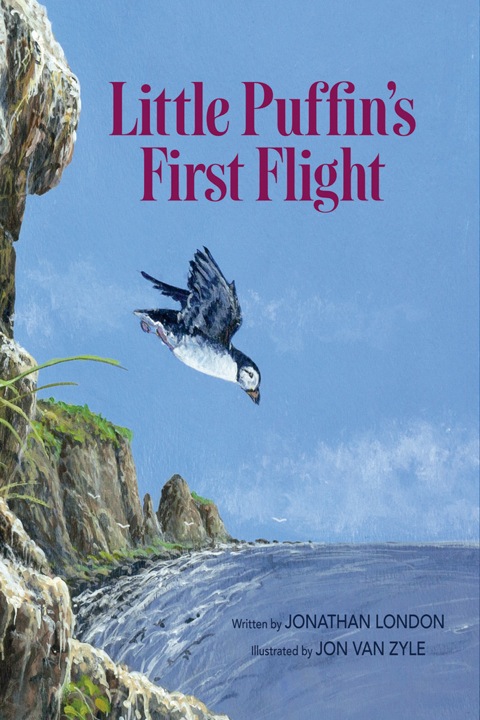 Cover image for book Little Puffin's First Flight