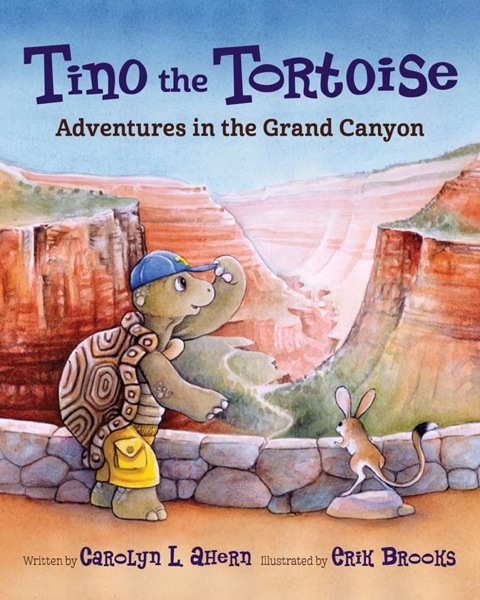 Cover image for book Tino the Tortoise