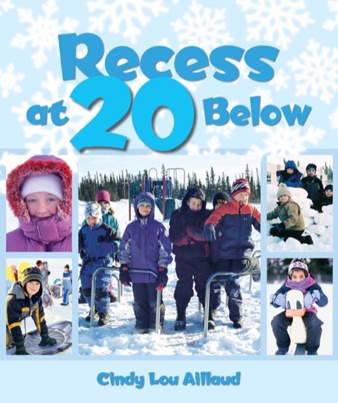 Cover image for book Recess at 20 Below