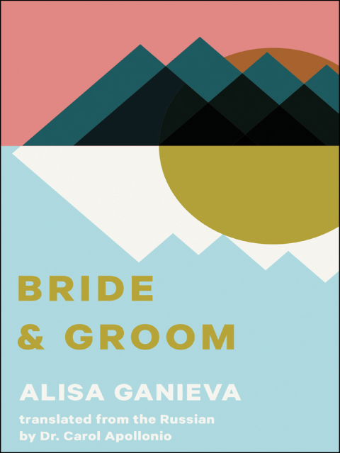 Cover image for book Bride and Groom