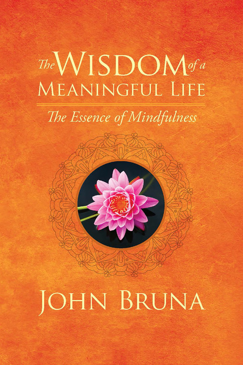Cover image for book The Wisdom of a Meaningful Life