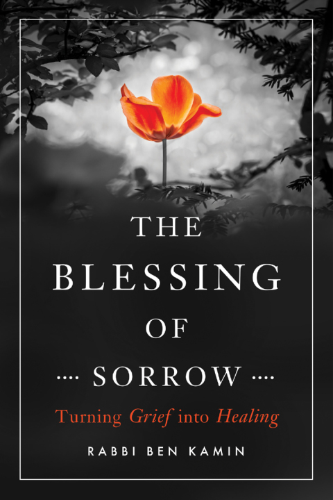 Cover image for book The Blessing of Sorrow