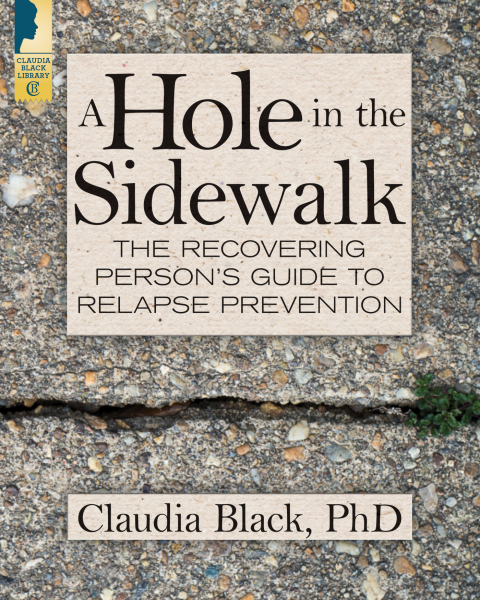 Cover image for book A Hole in the Sidewalk