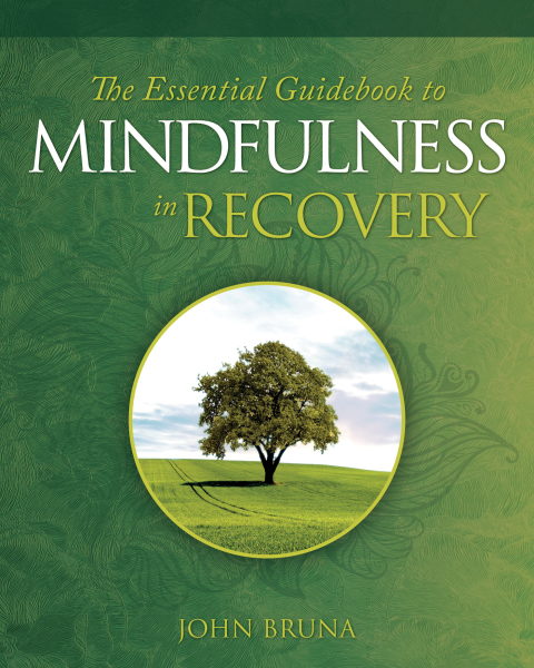 Cover image for book The Essential Guidebook to Mindfulness in Recovery