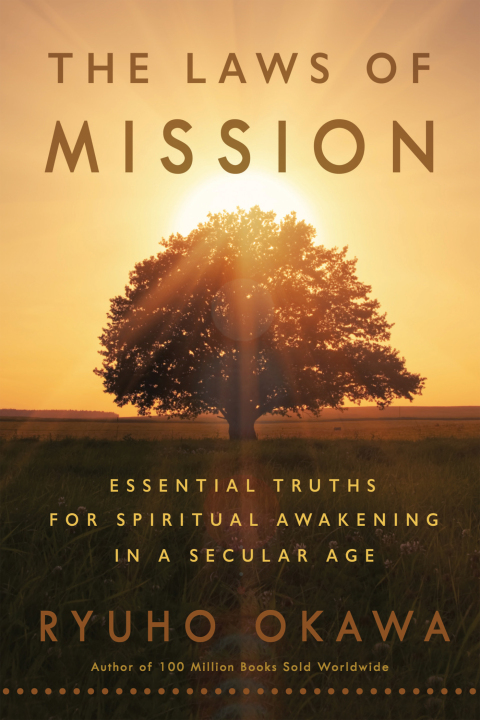 Cover image for book The Laws of Mission