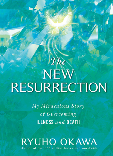 Cover image for book The New Resurrection