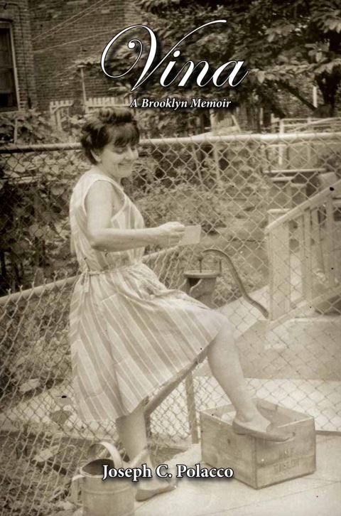 Cover image for book Vina: A Brooklyn Memoir