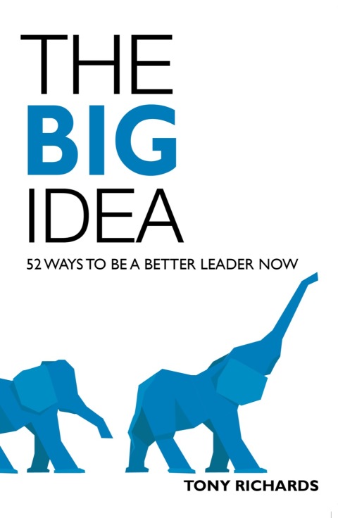 Cover image for book The Big Idea