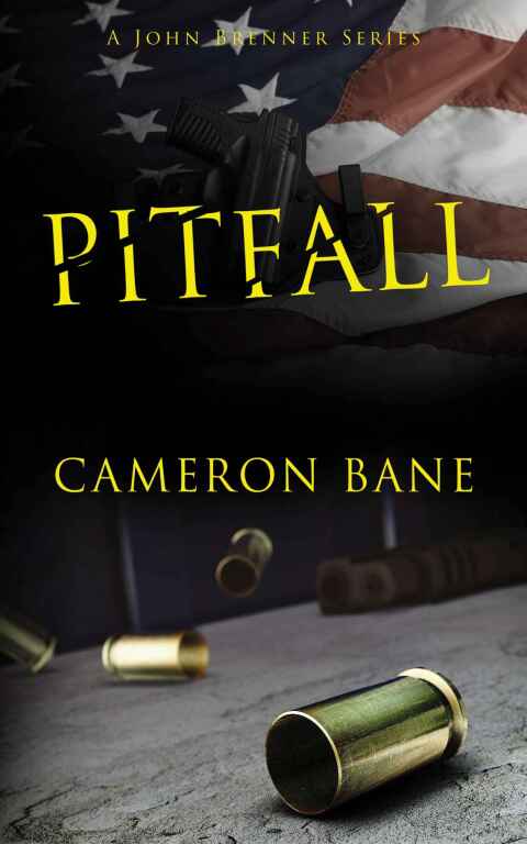 Cover image for book Pitfall