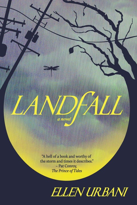 Cover image for book Landfall