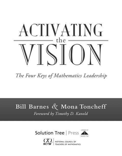 Cover image for book Activating the Vision