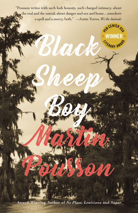 Cover image for book Black Sheep Boy