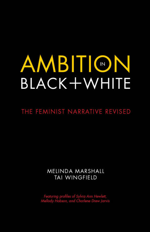 Cover image for book Ambition in Black + White