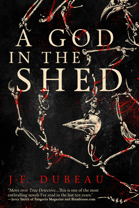 Cover image for book A God in the Shed