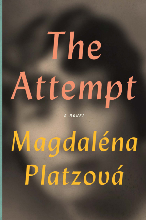 Cover image for book The Attempt
