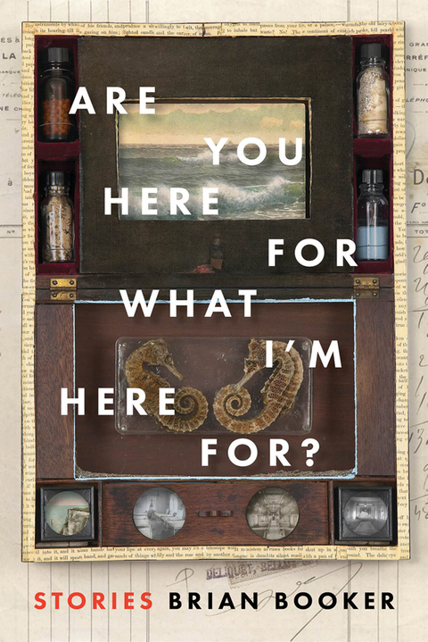 Cover image for book Are You Here For What I'm Here For?