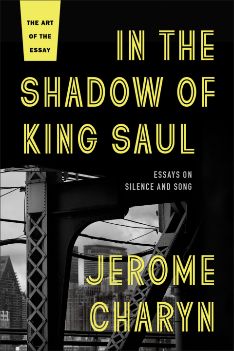 Cover image for book In the Shadow of King Saul