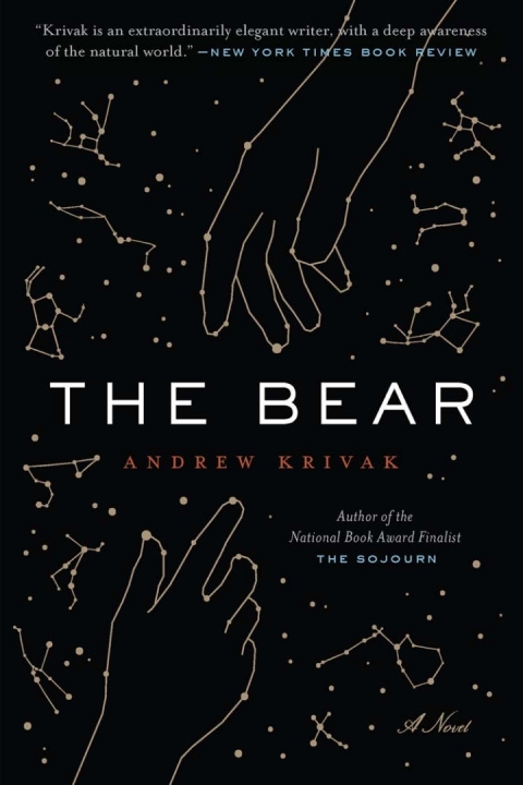 Cover image for book The Bear