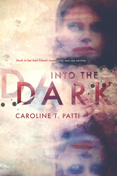 Cover image for book Into the Dark