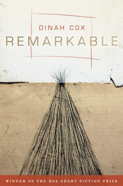 Cover image for book Remarkable