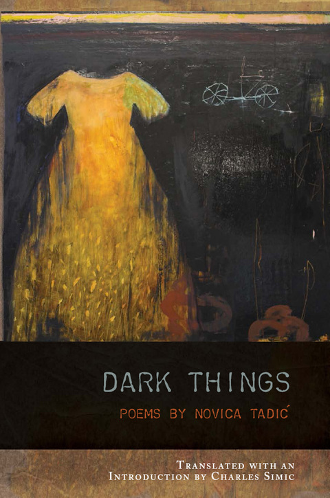 Cover image for book Dark Things
