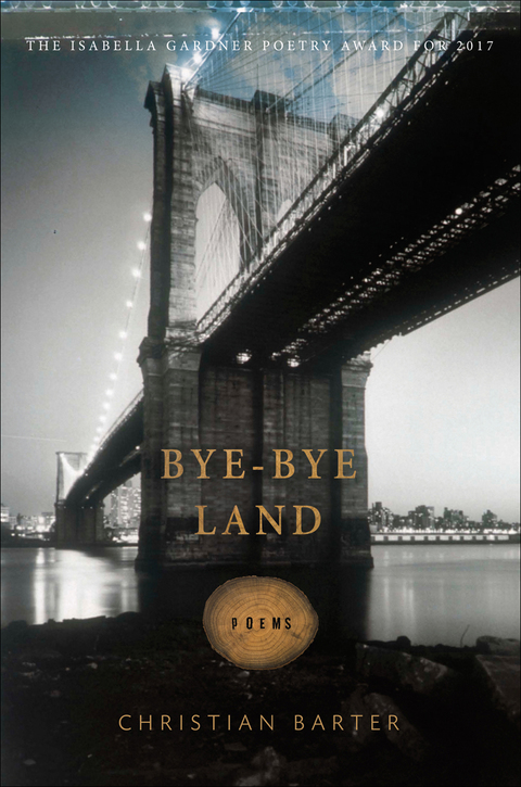 Cover image for book Bye-Bye Land