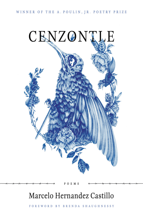 Cover image for book Cenzontle