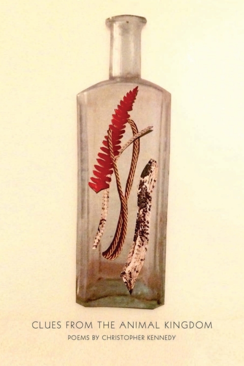 Cover image for book Clues from the Animal Kingdom