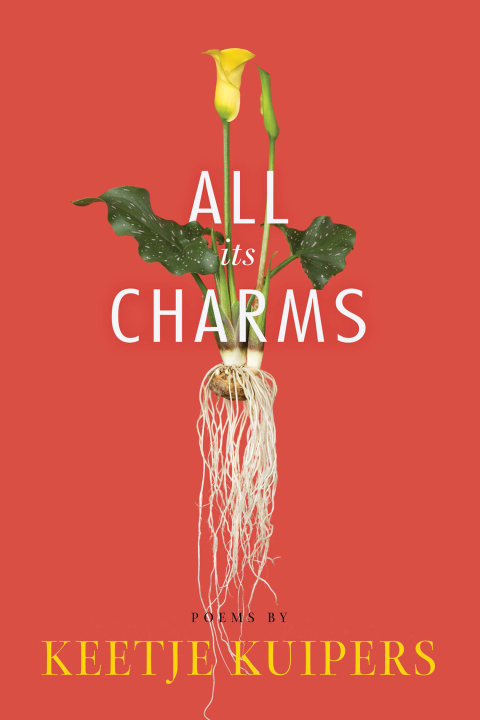 Cover image for book All Its Charms