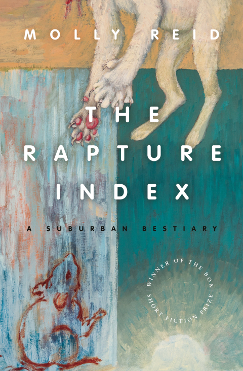 Cover image for book The Rapture Index