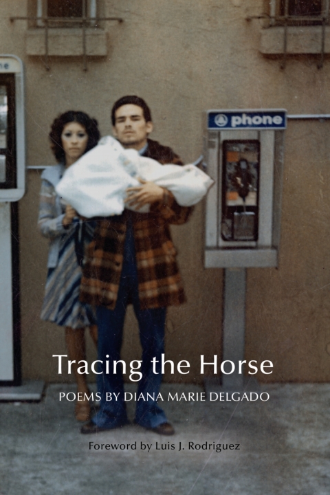 Cover image for book Tracing the Horse