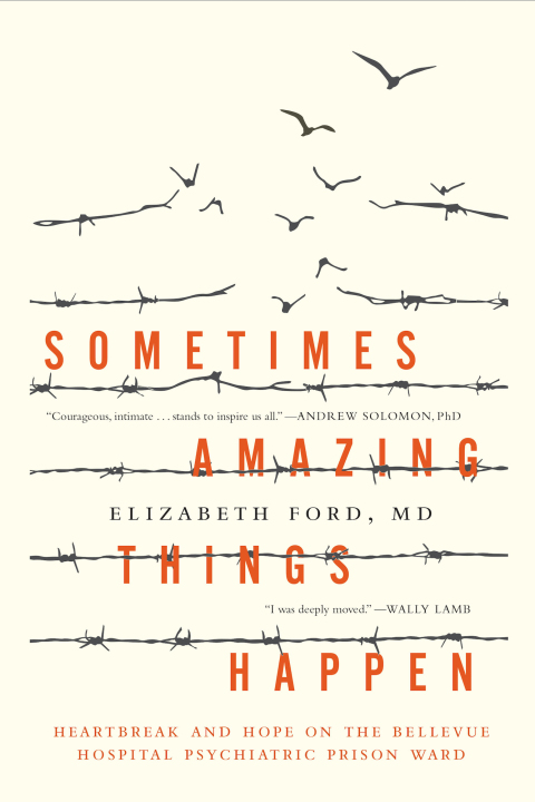 Cover image for book Sometimes Amazing Things Happen