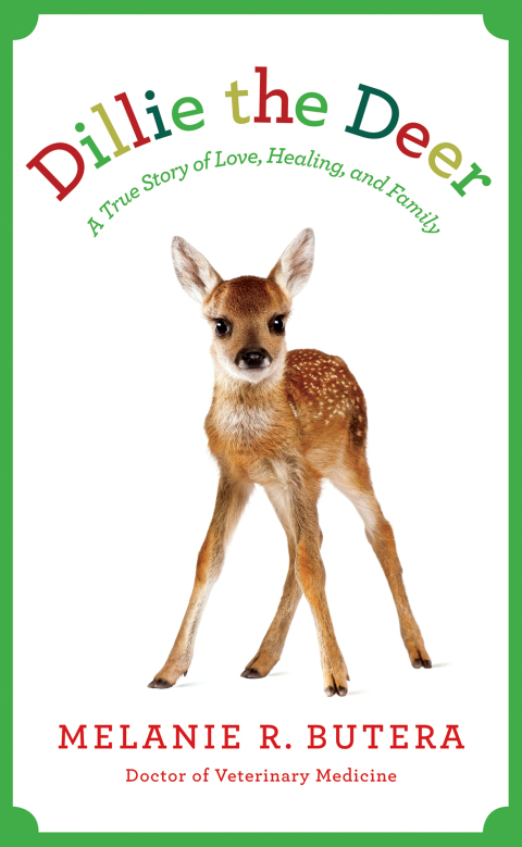 Cover image for book Dillie the Deer