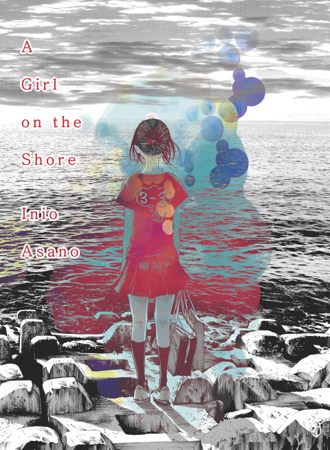 Cover image for book A Girl on the Shore