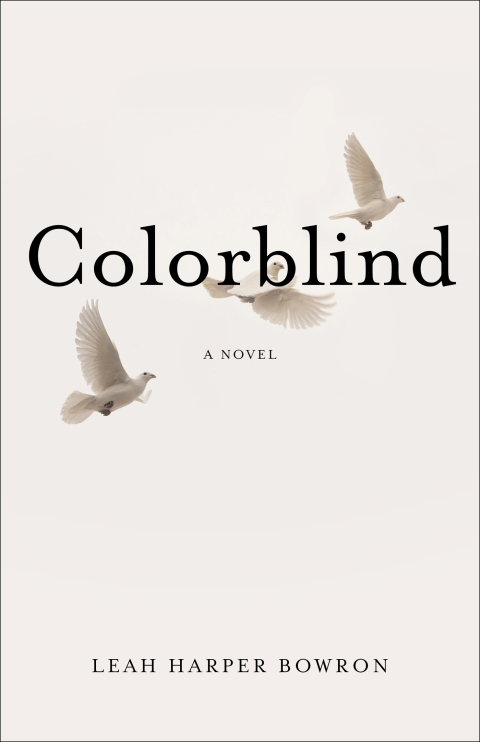 Cover image for book Colorblind