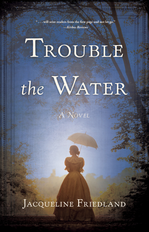 Cover image for book Trouble the Water