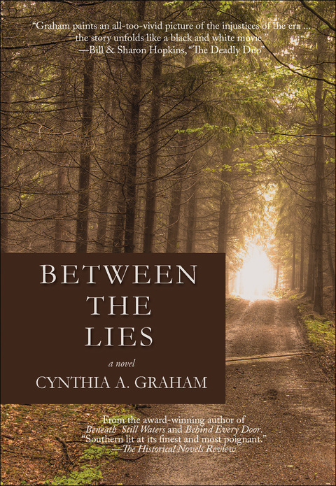 Cover image for book Between the Lies